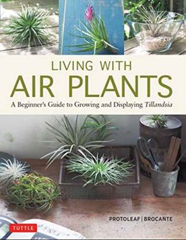 Living with Air Plants Living with Air Plants