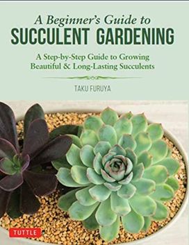 Beginner's Guide to Succulent Gardening Beginner's Guide to Succulent Gardening