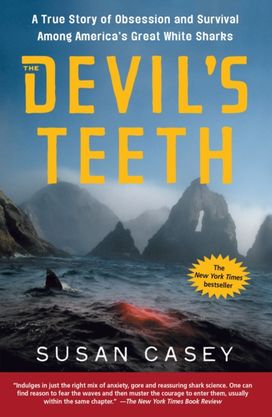 Devil's Teeth Devil's Teeth