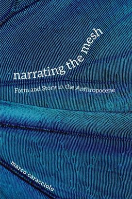 Narrating the Mesh Narrating the Mesh