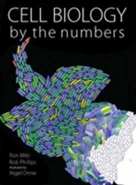 Cell Biology by the Numbers