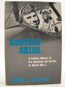 Hostile Skies