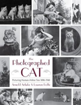 Photographed Cat Photographed Cat
