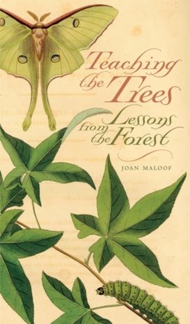 Teaching the Trees Teaching the Trees