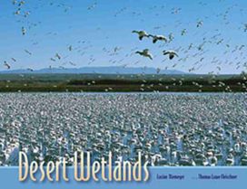 Desert Wetlands