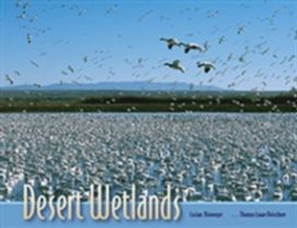 Desert Wetlands Desert Wetlands