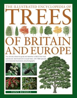 Illustrated Encyclopedia of Trees of Britain and Europe Illustrated Encyclopedia of Trees of Britain and Europe