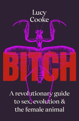 Bitch Bitch