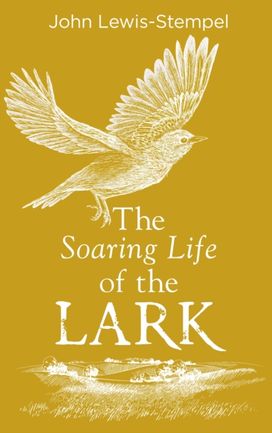 Soaring Life of the Lark Soaring Life of the Lark