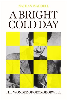 Bright Cold Day