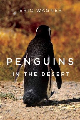 Penguins in the Desert Penguins in the Desert
