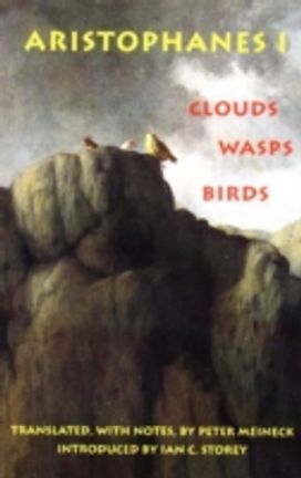 Clouds, Wasps, Birds