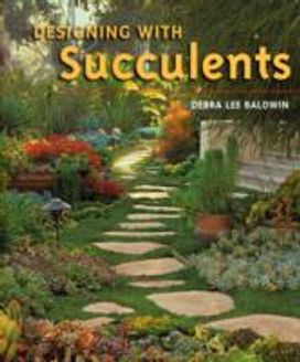 Designing with Succulents