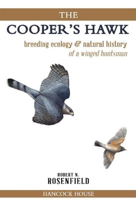 Cooper's Hawk