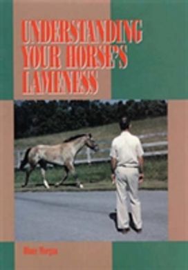 Understanding Your Horse's Lameness