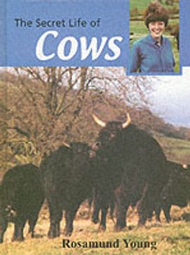 The Secret Life of Cows