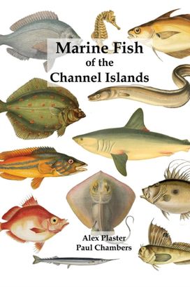 Marine Fish of the Channel Islands Marine Fish of the Channel Islands