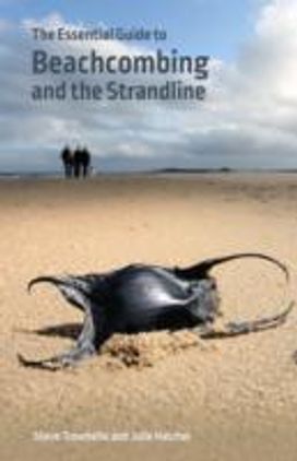 Essential Guide to Beachcombing and the Strandline Essential Guide to Beachcombing and the Strandline