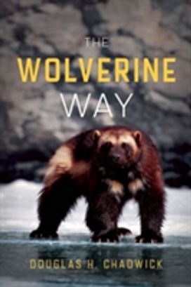 Wolverine Way