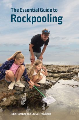 Essential Guide to Rockpooling Essential Guide to Rockpooling