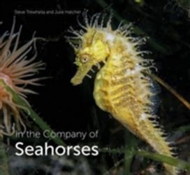In the Company of Seahorses In the Company of Seahorses