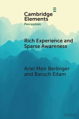 Rich Experience and Sparse Awareness Rich Experience and Sparse Awareness