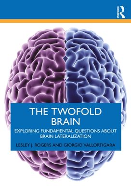 Twofold Brain Twofold Brain
