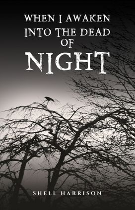 When I Awaken Into The Dead of Night When I Awaken Into The Dead of Night