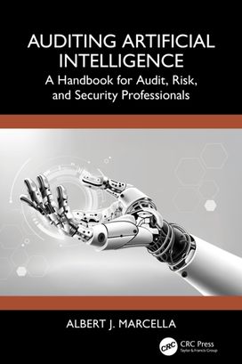 Auditing Artificial Intelligence Auditing Artificial Intelligence