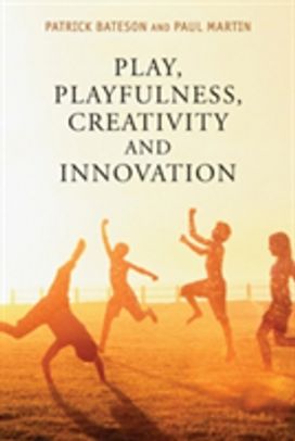 Play, Playfulness, Creativity and Innovation Play, Playfulness, Creativity and Innovation