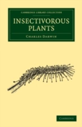 Insectivorous Plants