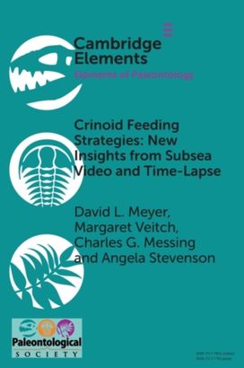 Crinoid Feeding Strategies: New Insights from Subsea Video and Time-Lapse