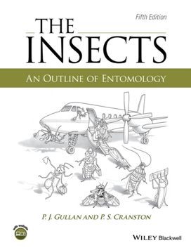 Insects Insects