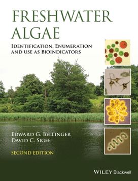 Freshwater Algae Freshwater Algae