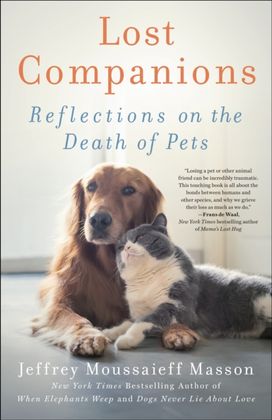 Lost Companions Lost Companions