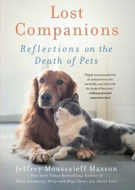 Lost Companions Lost Companions