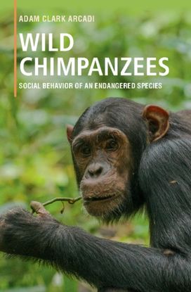 Wild Chimpanzees Wild Chimpanzees