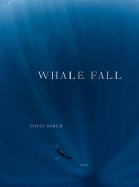 Whale Fall