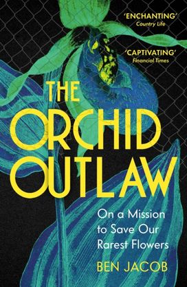 Orchid Outlaw Orchid Outlaw