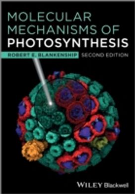 Molecular Mechanisms of Photosynthesis