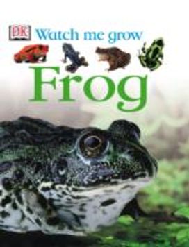 Frog Frog