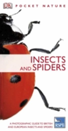 Insects and Spiders Insects and Spiders