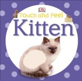Kitten Kitten