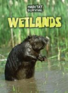 Wetlands Wetlands