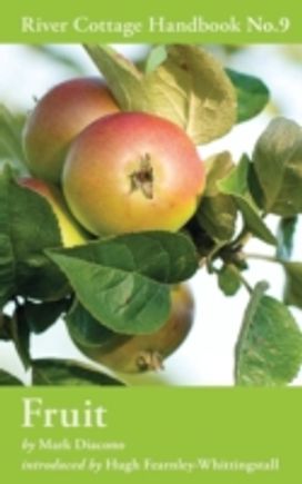 Fruit Fruit