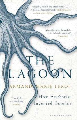 Lagoon Lagoon