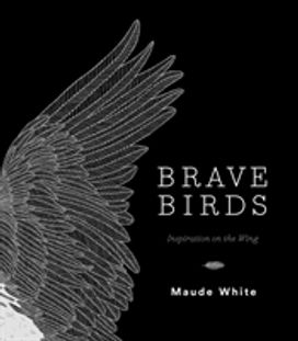 Brave Birds Brave Birds
