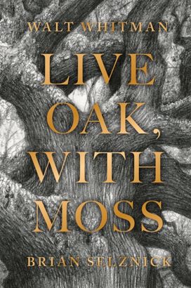 Live Oak, with Moss Live Oak, with Moss