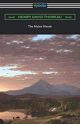Maine Woods Maine Woods