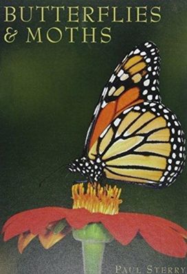 Butterflies & Moths